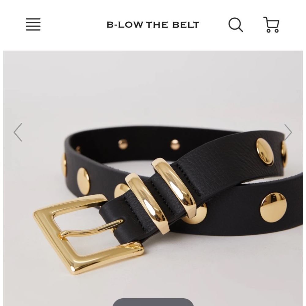 B-Low the Belt Sphinx Belt size small